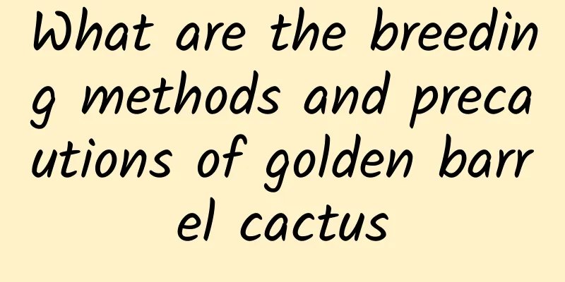 What are the breeding methods and precautions of golden barrel cactus