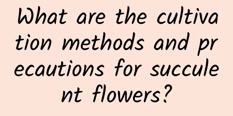 What are the cultivation methods and precautions for succulent flowers?