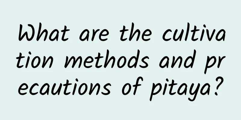What are the cultivation methods and precautions of pitaya?