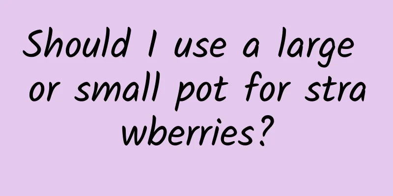 Should I use a large or small pot for strawberries?