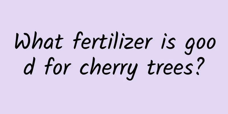 What fertilizer is good for cherry trees?