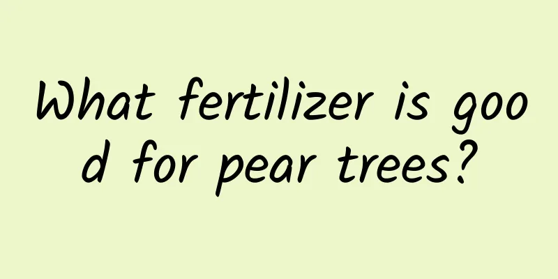 What fertilizer is good for pear trees?