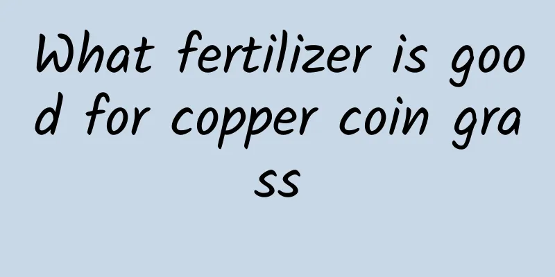 What fertilizer is good for copper coin grass