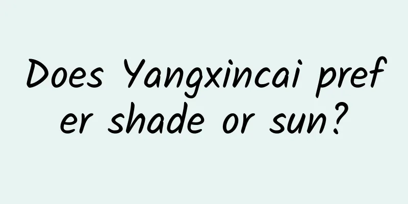 Does Yangxincai prefer shade or sun?
