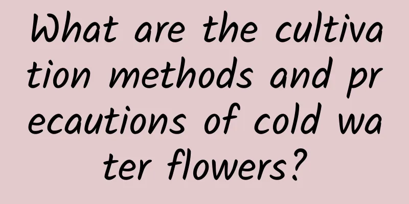 What are the cultivation methods and precautions of cold water flowers?