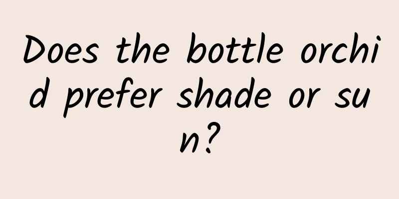 Does the bottle orchid prefer shade or sun?