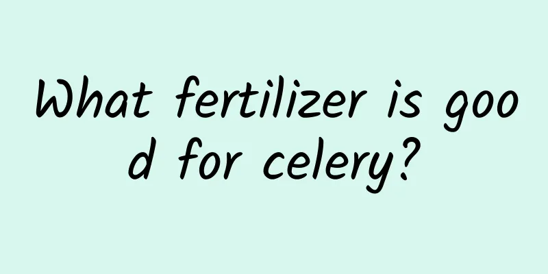 What fertilizer is good for celery?