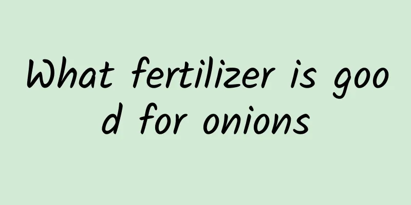 What fertilizer is good for onions