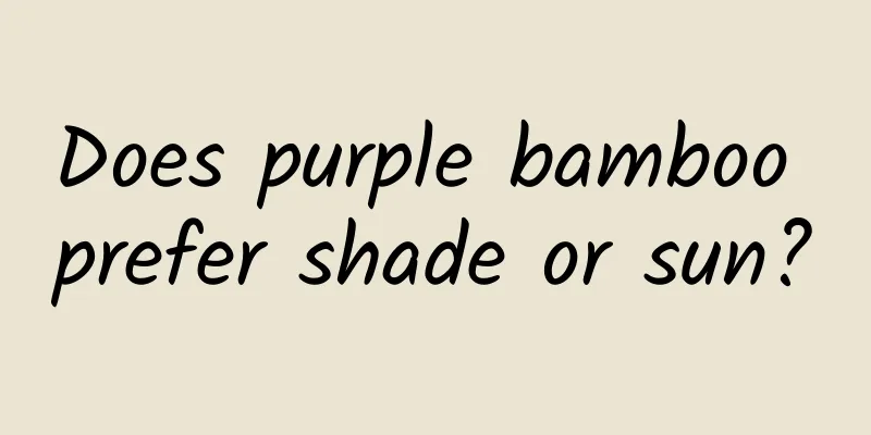 Does purple bamboo prefer shade or sun?