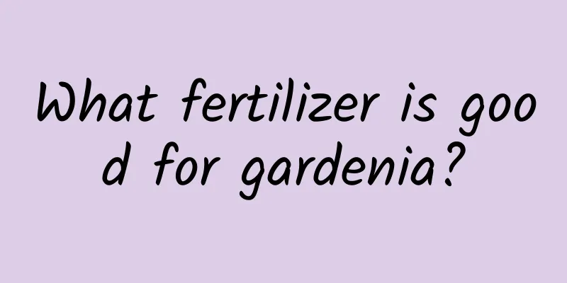 What fertilizer is good for gardenia?