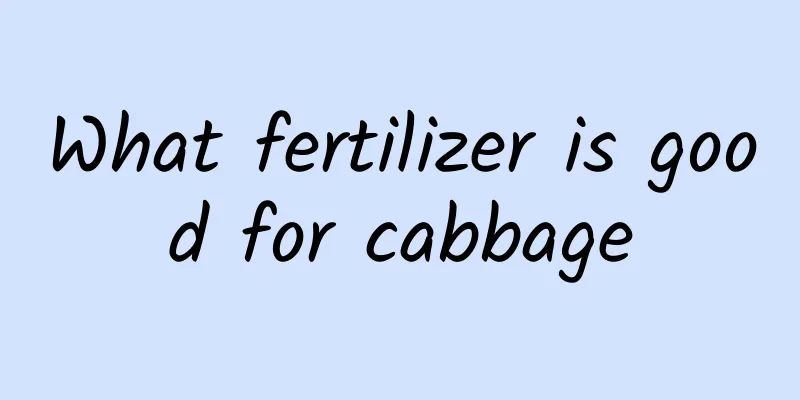 What fertilizer is good for cabbage
