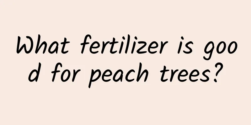 What fertilizer is good for peach trees?