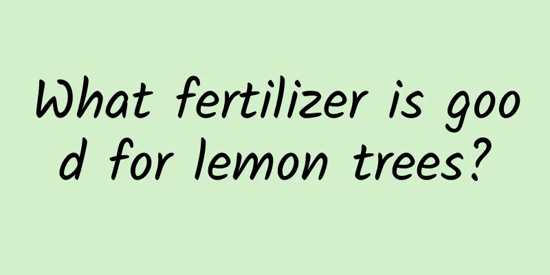 What fertilizer is good for lemon trees?