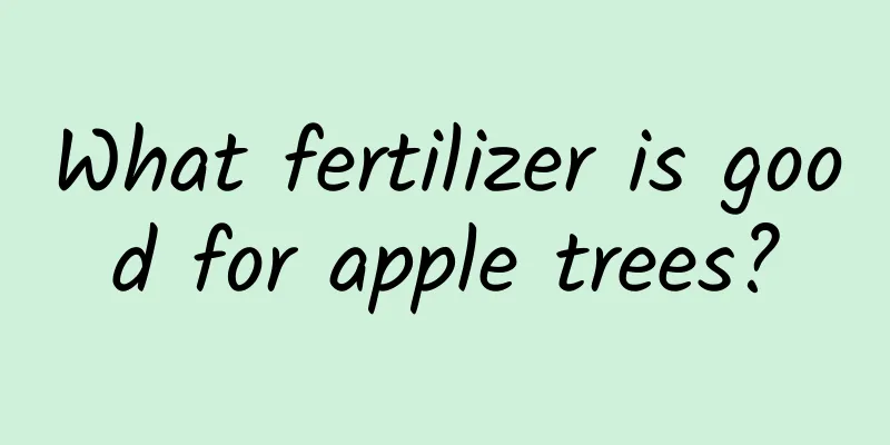 What fertilizer is good for apple trees?
