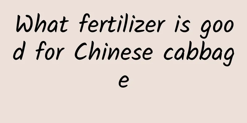 What fertilizer is good for Chinese cabbage