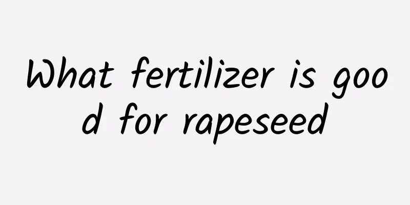 What fertilizer is good for rapeseed