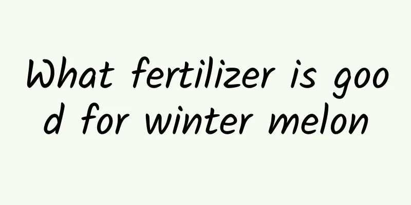 What fertilizer is good for winter melon