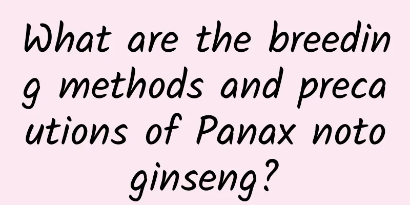 What are the breeding methods and precautions of Panax notoginseng?
