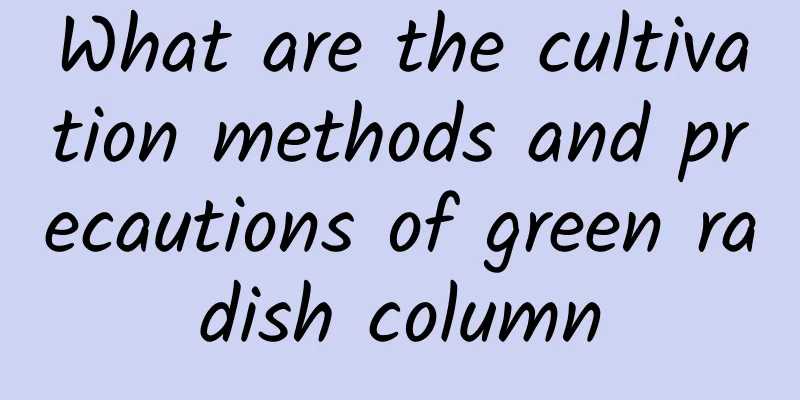 What are the cultivation methods and precautions of green radish column