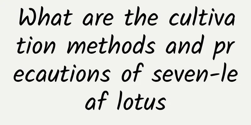 What are the cultivation methods and precautions of seven-leaf lotus