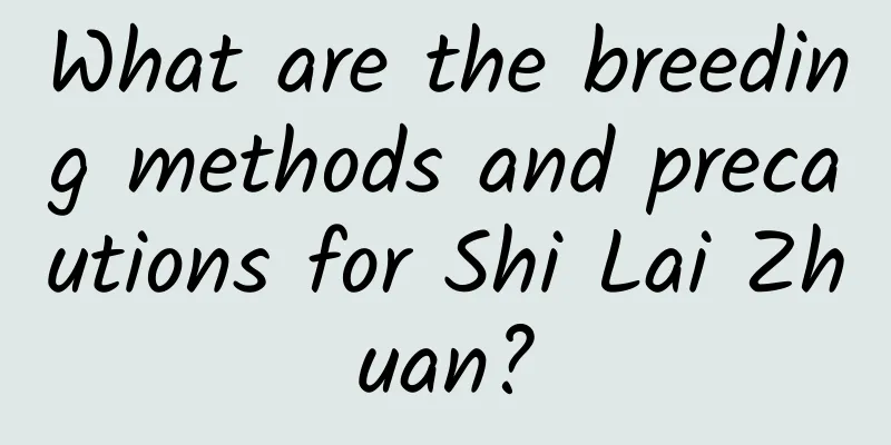 What are the breeding methods and precautions for Shi Lai Zhuan?