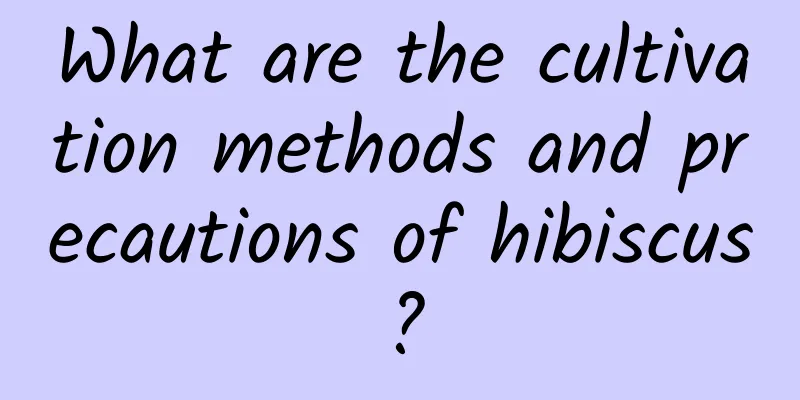 What are the cultivation methods and precautions of hibiscus?