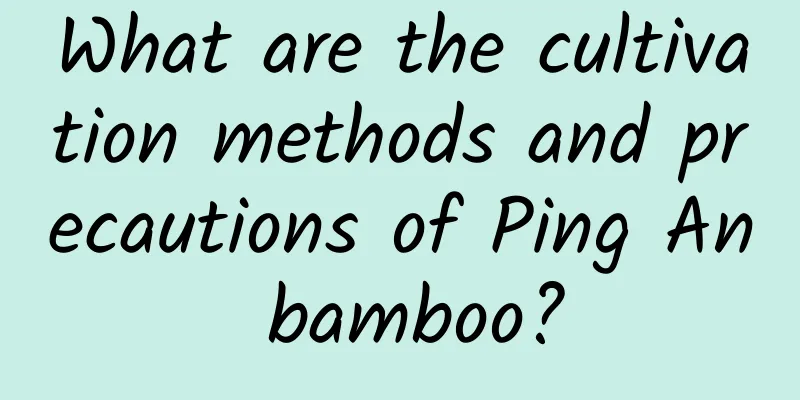 What are the cultivation methods and precautions of Ping An bamboo?