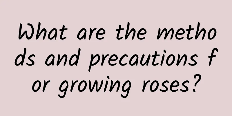 What are the methods and precautions for growing roses?