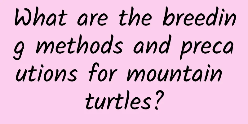 What are the breeding methods and precautions for mountain turtles?