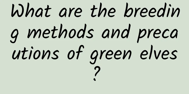 What are the breeding methods and precautions of green elves?