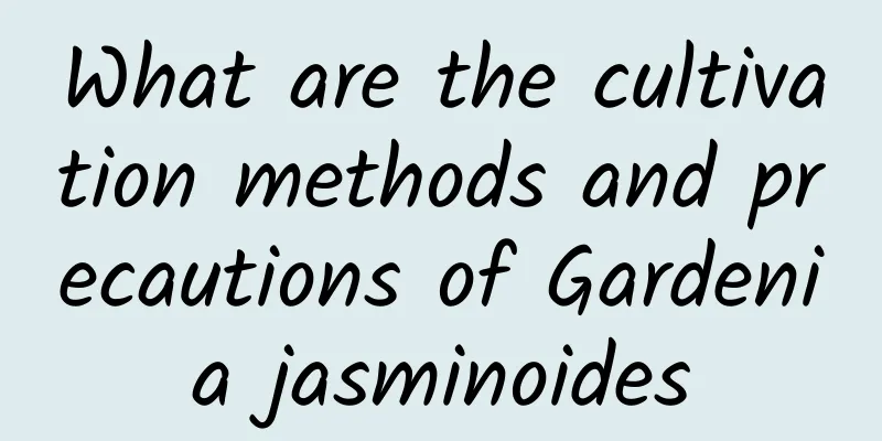 What are the cultivation methods and precautions of Gardenia jasminoides