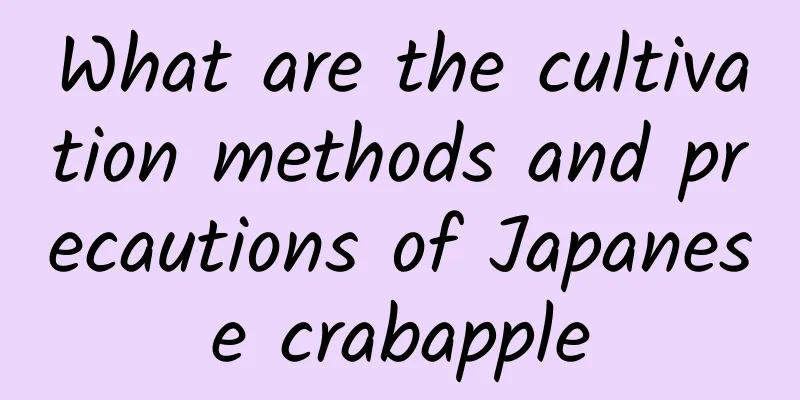 What are the cultivation methods and precautions of Japanese crabapple