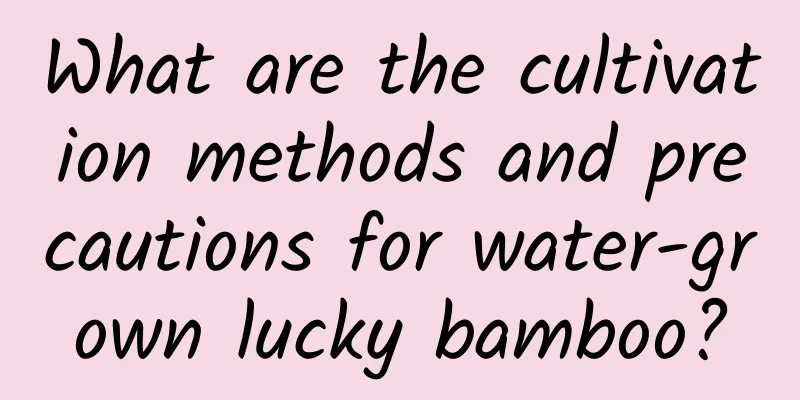 What are the cultivation methods and precautions for water-grown lucky bamboo?