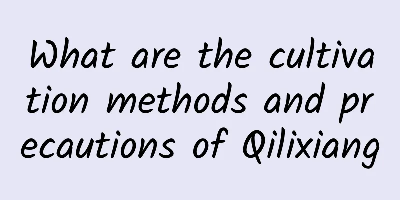 What are the cultivation methods and precautions of Qilixiang