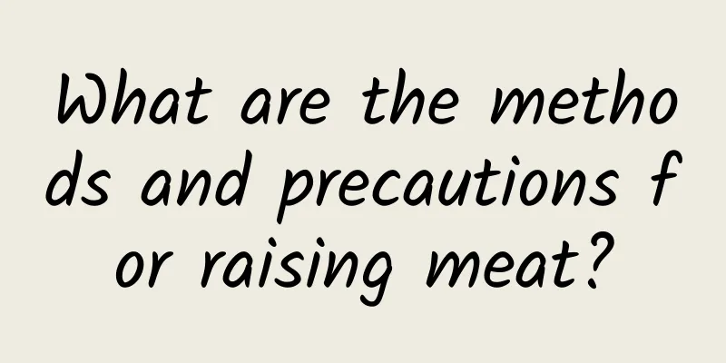 What are the methods and precautions for raising meat?