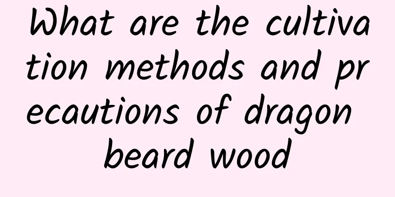 What are the cultivation methods and precautions of dragon beard wood