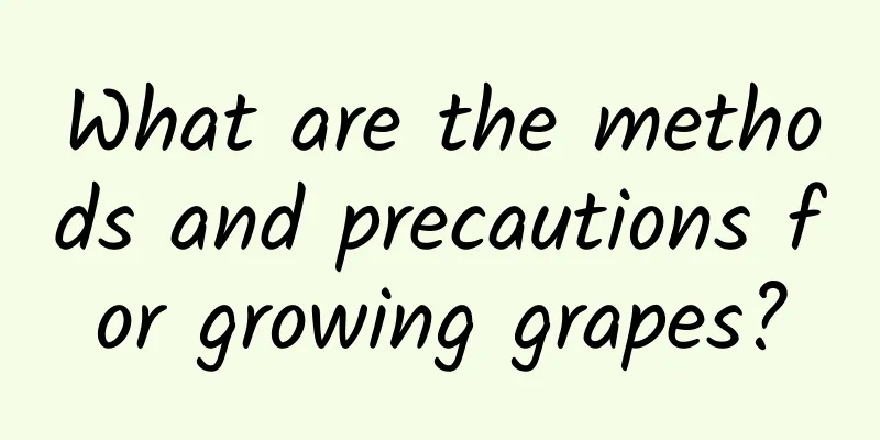 What are the methods and precautions for growing grapes?