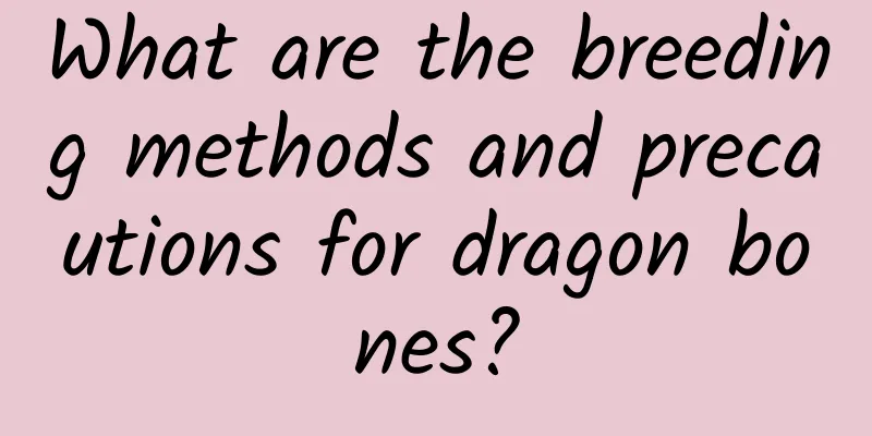 What are the breeding methods and precautions for dragon bones?