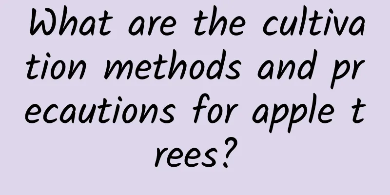 What are the cultivation methods and precautions for apple trees?