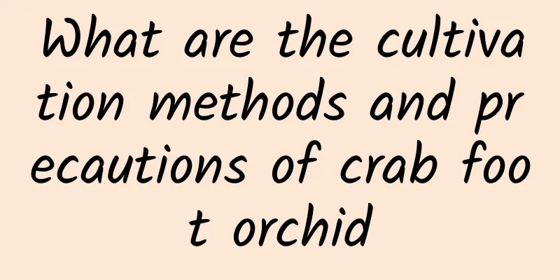 What are the cultivation methods and precautions of crab foot orchid