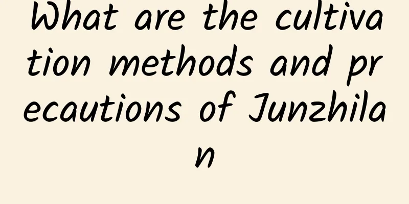 What are the cultivation methods and precautions of Junzhilan