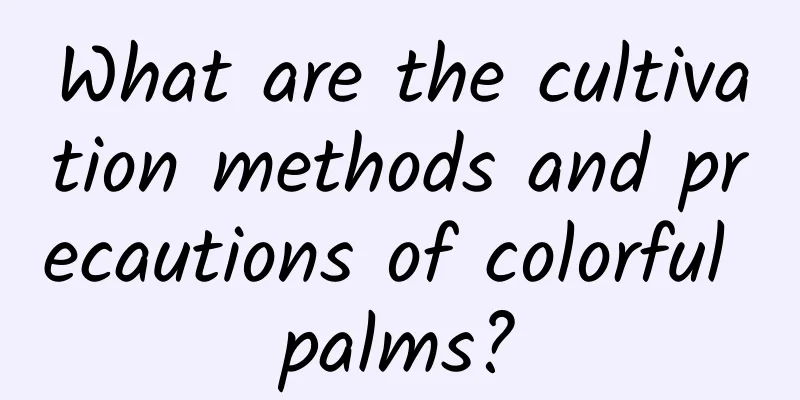 What are the cultivation methods and precautions of colorful palms?