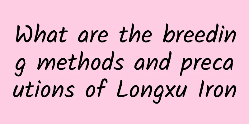 What are the breeding methods and precautions of Longxu Iron
