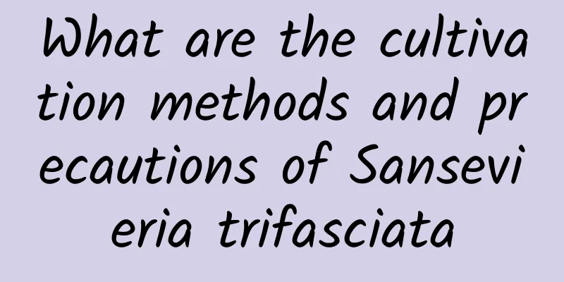 What are the cultivation methods and precautions of Sansevieria trifasciata