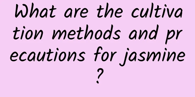 What are the cultivation methods and precautions for jasmine?