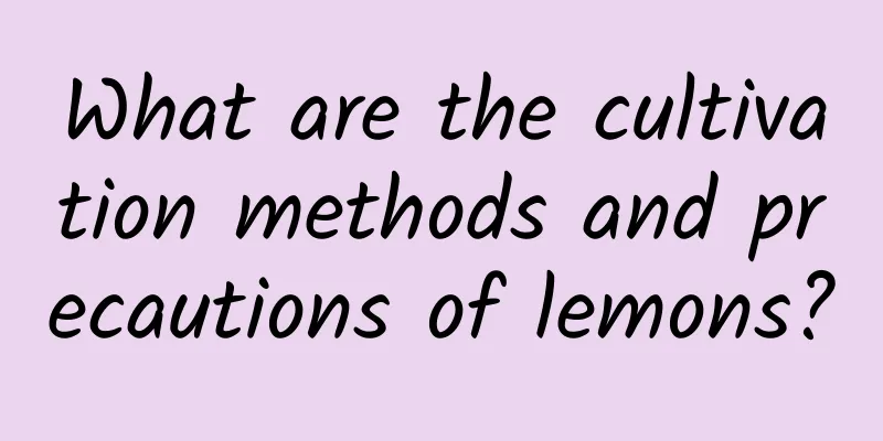 What are the cultivation methods and precautions of lemons?