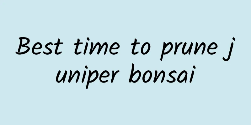 Best time to prune juniper bonsai