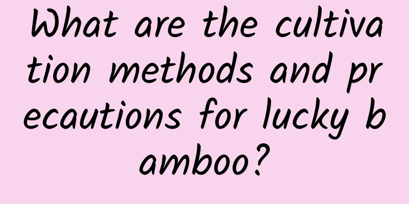 What are the cultivation methods and precautions for lucky bamboo?
