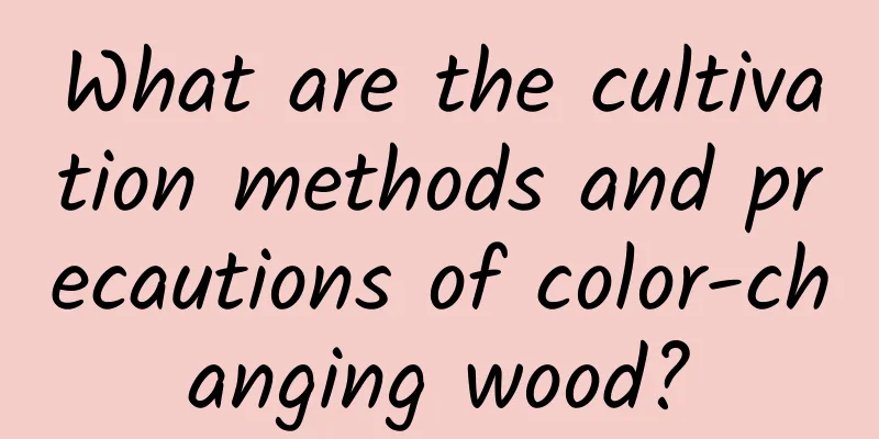 What are the cultivation methods and precautions of color-changing wood?