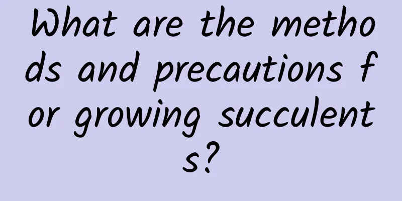 What are the methods and precautions for growing succulents?